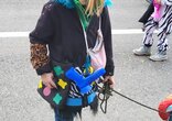 Fasnacht Rieden